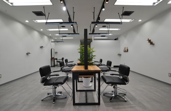 今話題のコタシャンプー、取り扱っております